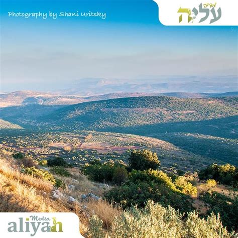 Amirim, Northern District, Israel Weather.